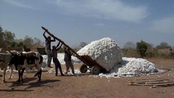 En profundidad: Vamos a hacer dinero