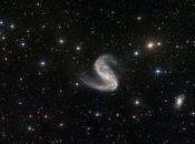 miradas galaxia torcida