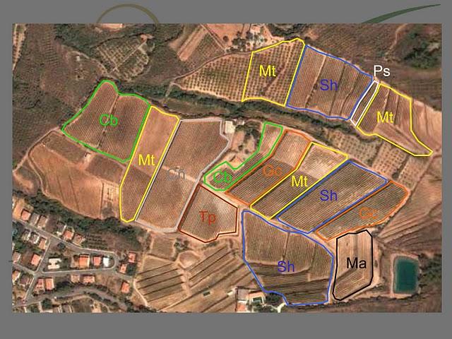 PASCONA - DO. MONTSANT  ( II FIRA DE VINS DE TORRELLES DE LLOBREGAT)