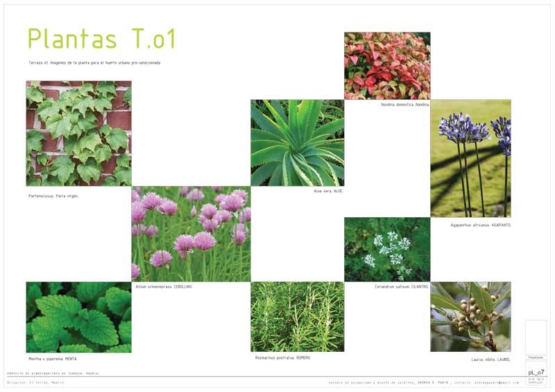 La importancia del diseño, la idea