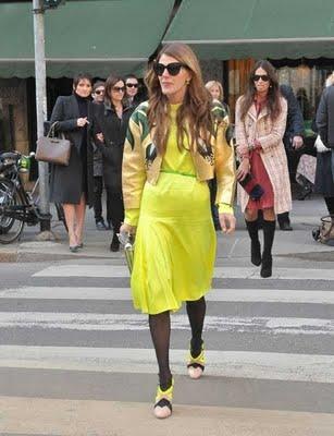 TEMPORADA DE COLORES