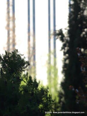 Safari fotográfico por la zona de Azca (Madrid) por Javier Dahl