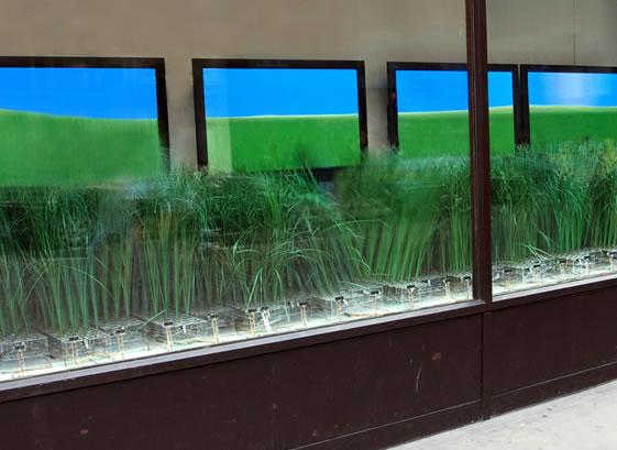 Urban Prairie :: escaparate interactivo