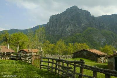 Subiendo a Vegapociellu