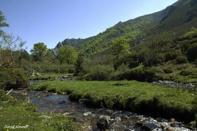 Subiendo a Vegapociellu