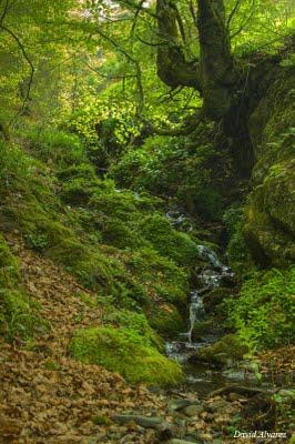 Subiendo a Vegapociellu