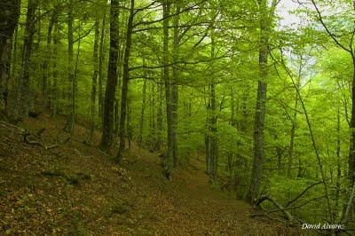 Subiendo a Vegapociellu