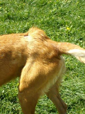 SE ESTA MURIENDO EN LA MISERIA 3º AVISO URGENTE. (JAÉN)