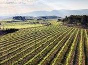 cava cautiva corazón Parker… Miller)