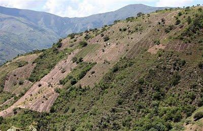 EXTRAVIADA AVIONETA DE LA ONU