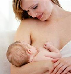 Adelgazar lactando
