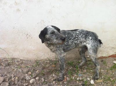 Duque, lloraba como un niño pequeño