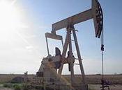 hombre, lobo para hombre