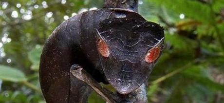 Enlaces de la semana (18/11)