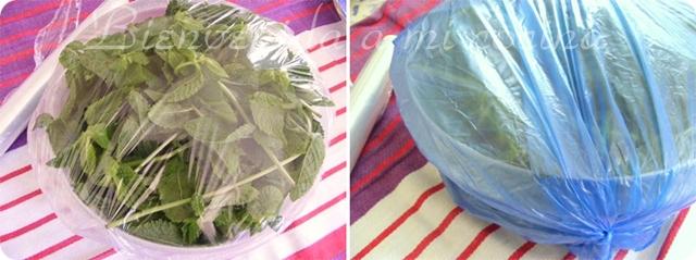 Conservar la hierbabuena (aplicable para perejil, cilantro, etc)