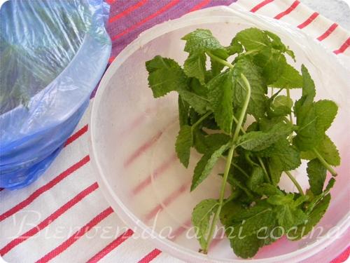 Conservar la hierbabuena (aplicable para perejil, cilantro, etc)