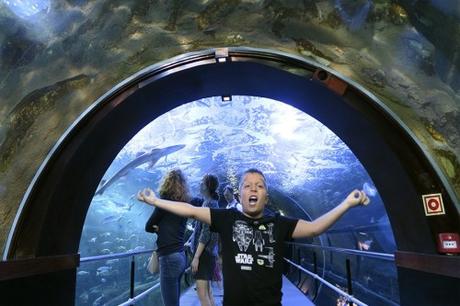 Visita al Aquarium de San Sebastian