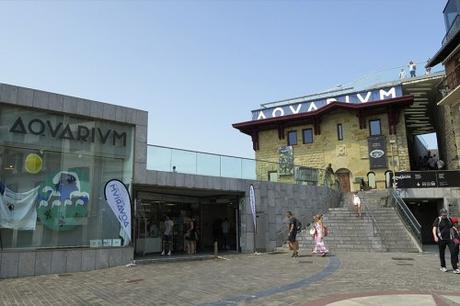 Visita al Aquarium de San Sebastian