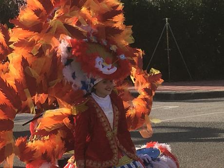 Desfile de Carnaval Cubillos del Sil 2019 – Álbum de fotos