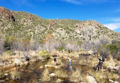 sabino-canyon-tucson-4 ▷ ¡Comenta sobre 18 cosas increíbles para hacer en Tucson, Arizona con niños o sin ellos! por Alex