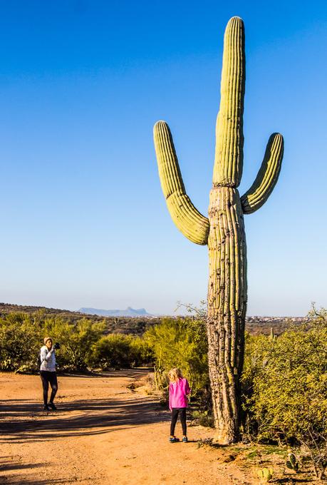 IMG_8162 ▷ ¡Comenta sobre 18 cosas increíbles para hacer en Tucson, Arizona con niños o sin ellos! por Alex