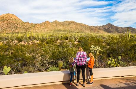 saguaro-national-park-west-3 ▷ ¡Comenta sobre 18 cosas increíbles para hacer en Tucson, Arizona con niños o sin ellos! por Alex