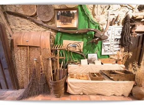 Museo Piedad Isla Museo Piedad Isla