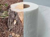 Papel higiénico contamina