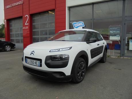 Citroen Cactus Occasion Portrait Que Vraiment Chic