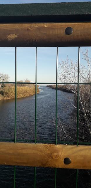 Invadiéndonos el Propio Espacio