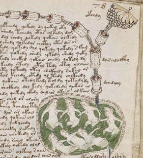 Manuscrito Voynich
