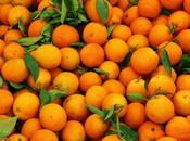 Naranjas ecológicas puerta casa