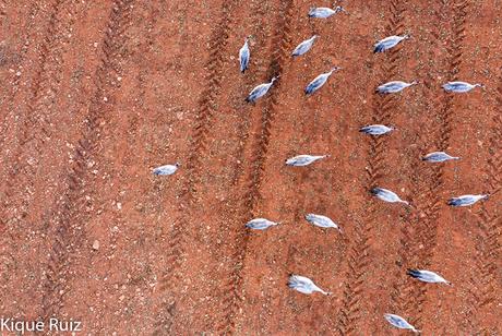 Fotografía aérea con drone consejos