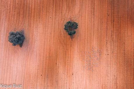 Fotografía aérea con drone consejos