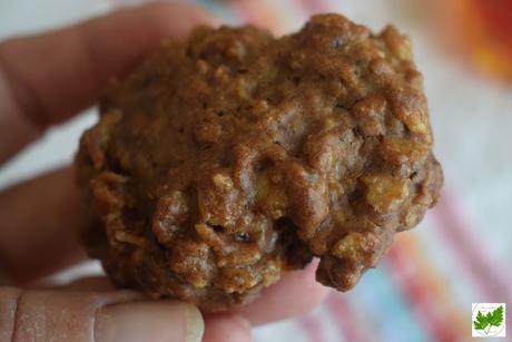 Galletas de Avena y Chocolate con Espelta