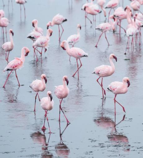 ▷ El mejor momento para viajar a Namibia namibia-12-1 ▷ El mejor momento para viajar a Namibia