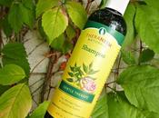 iHerb: Champú sulfatos para cuero cabelludo sensible, Gentle Therapé Theraneem Naturals