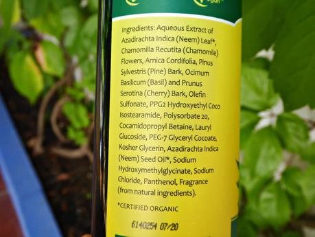 iHerb: Champú sin sulfatos para cuero cabelludo sensible, Gentle Therapé de Theraneem Naturals