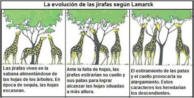 La alargada sombra de Jean-Baptiste de Lamarck