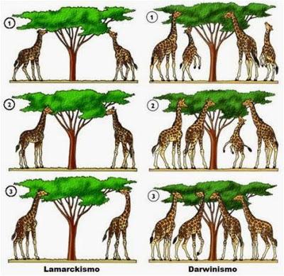 La alargada sombra de Jean-Baptiste de Lamarck