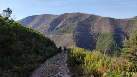 Descenso a Tuña desde Brañasin