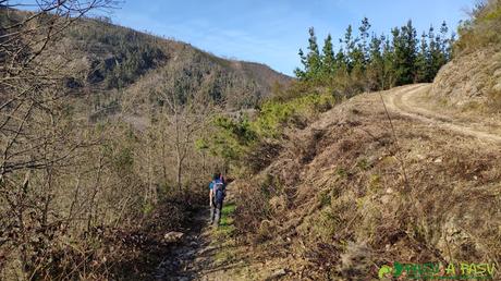 Sendero para entrar en el bosque