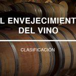 El cuerpo del vino El cuerpo del vino