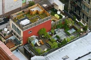 Soluciones Efectivas a la Contaminacion del Aire en las Ciudades Soluciones Efectivas a la Contaminacion del Aire en las Ciudades