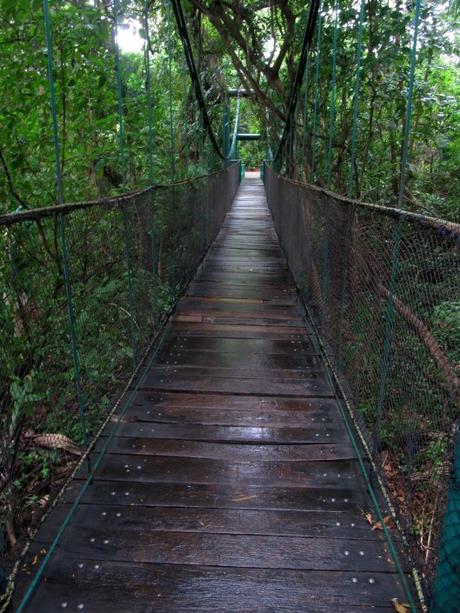 Tabasco: la región del cacao