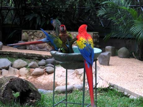 Tabasco: la región del cacao