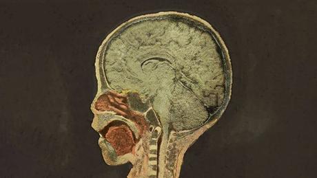 Esto es lo que le pasó a un niño que chupó durante meses la pintura con plomo de sus juguetes