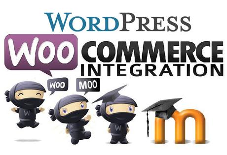 ¿Cómo activar e instalar Facilmente WooCommerce?