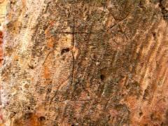 Tradiciones y costumbres de Cuaresma en la Sierra Norte de Guadalajara Tradiciones y costumbres de Cuaresma en la Sierra Norte de Guadalajara