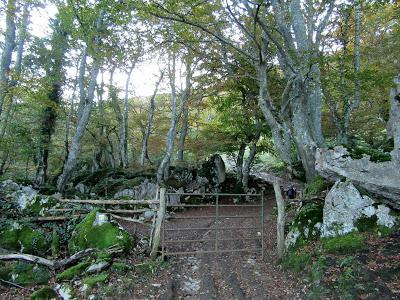 Fresnéu-Los Fuexos-El Barriscal-La Villa de Su-Páramo